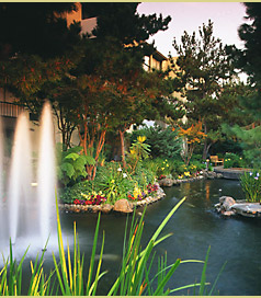 Welcome to The Sheraton Palo Alto