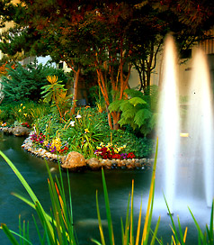 Sheraton Palo Alto Hotel Wedding Fountain